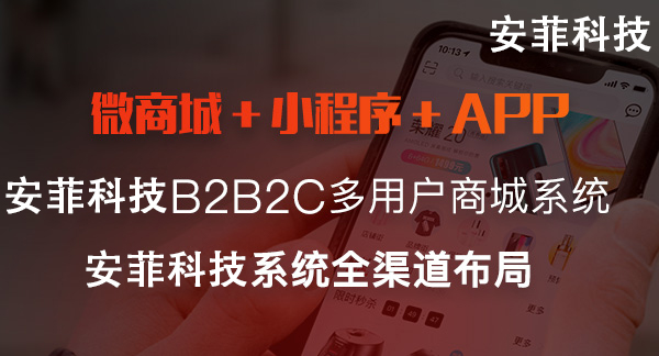 开发b2b2c商城选择哪家公司好