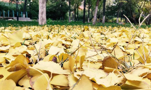 新冠疫情火爆行业