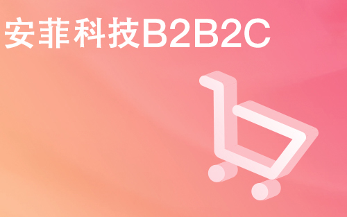 B2B系统建设需要多少钱