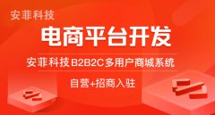 开发B2B2C商城系统有哪些方案