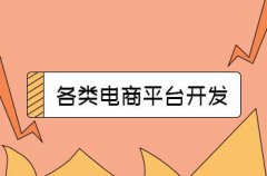 B2C电子商务平台的盈利方式有哪些？B2C电子商务平台要