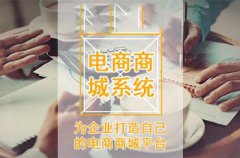 市场上的B2C电子商务网站有哪些？B2C电子商务网站的介