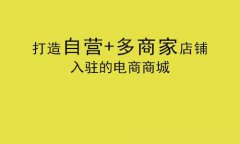 开源b2b2c电商系统有什么优势？开源b2b2c电商系统的强大