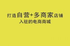 企业要怎么做电商系统？电商网站又要如何运营的呢？