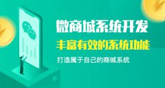 微信商城系统开发要注意什么