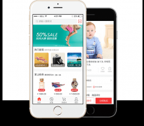 独立网上商城系统是什么