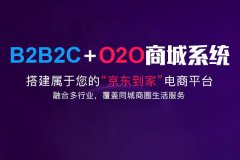 b2b2c商城系统如何选择？