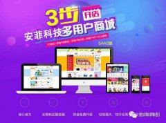 哪些因素影响B2B2C商城系统价格