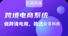 2020年开发跨境电商系统能做吗